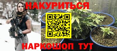 прущие крисы Обь