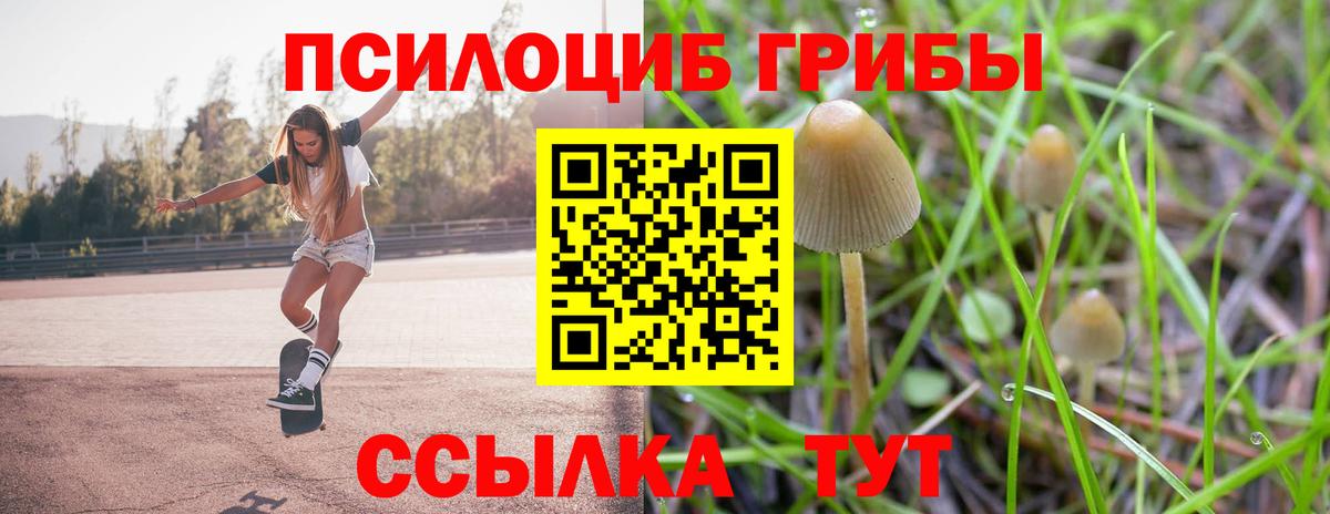 Галлюциногенные грибы Psilocybine cubensis  Вход с VPN  Саров  Галлюциногенные грибы MAGIC MUSHROOMS 